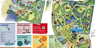 Karta Rotterdam zoološki vrt 